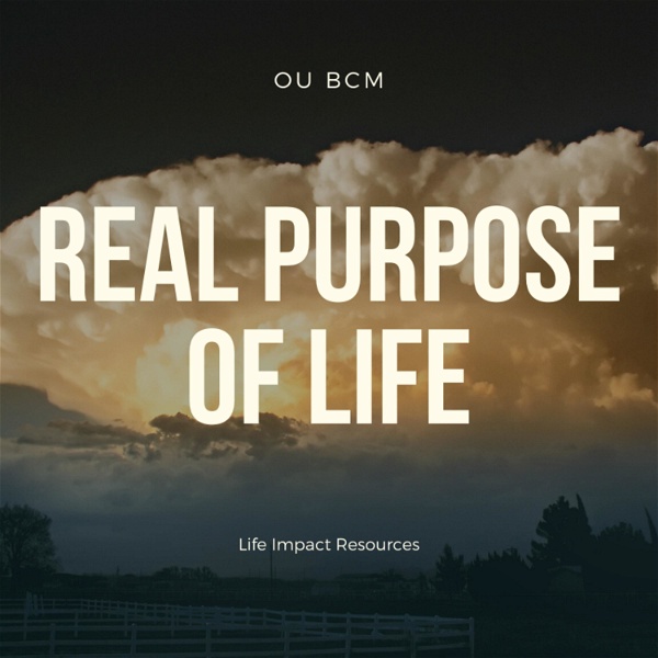Artwork for Real Purpose of Life