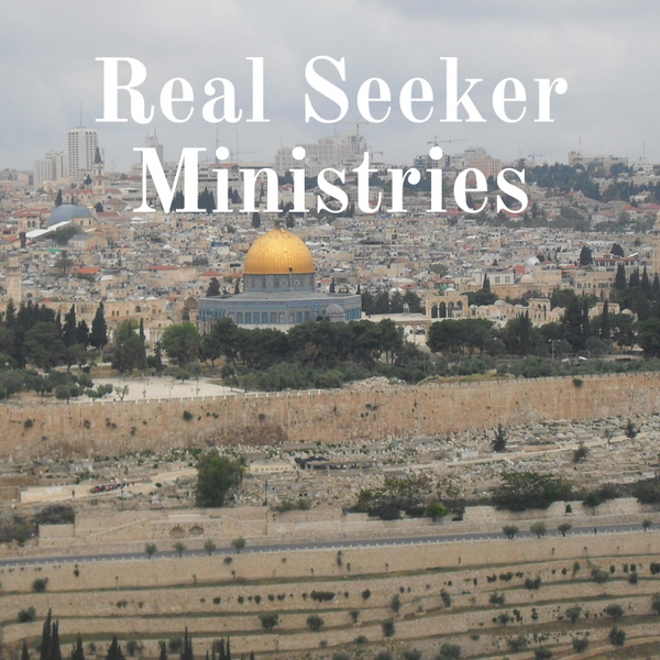 Artwork for Real Seekers