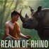 Realm of Rhino
