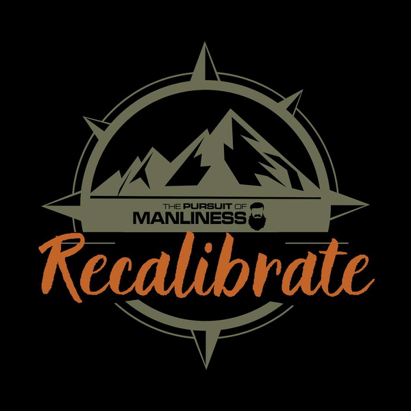 Artwork for Recalibrate