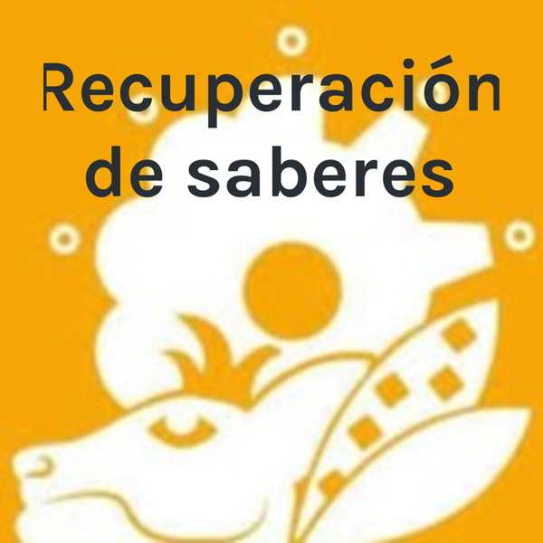 Artwork for Recuperación de saberes