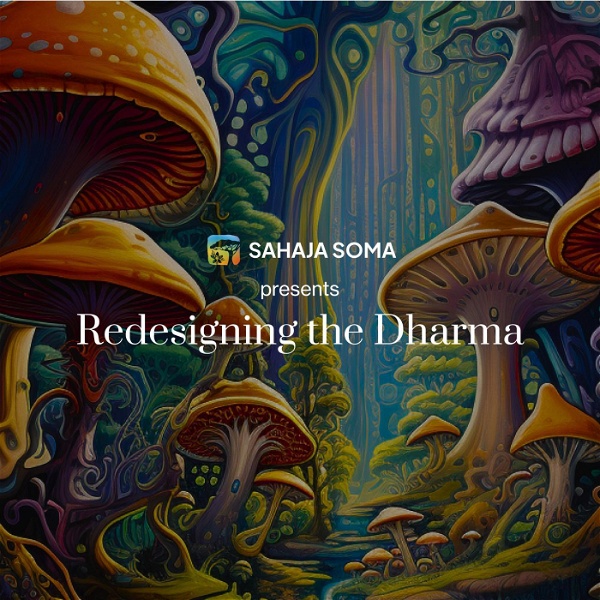 Artwork for Redesigning the Dharma