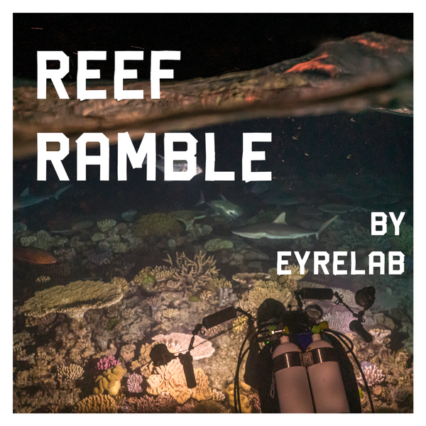 Artwork for Reef Ramble