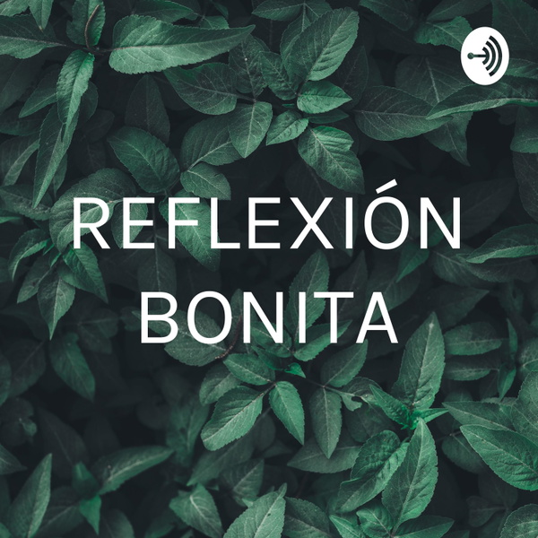 Artwork for REFLEXIÓN BONITA