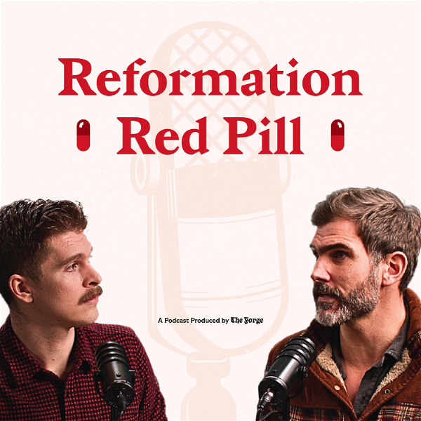Artwork for Reformation Red Pill