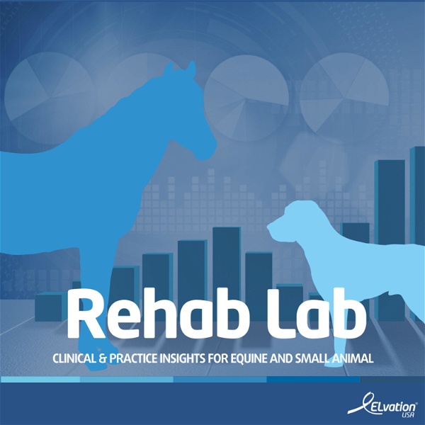Artwork for Rehab Lab Powered By The PiezoWave2T