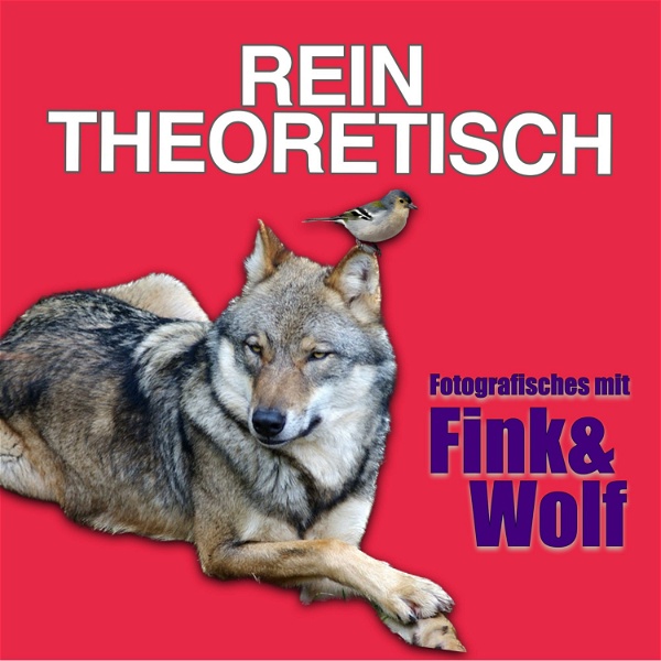 Artwork for rein theoretisch – Fotografisches mit Fink&Wolf