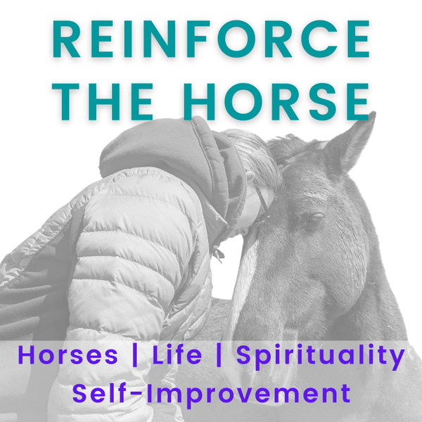 Artwork for Reinforce the Horse
