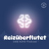 Reizüberflutet - Dein ADHS-Podcast