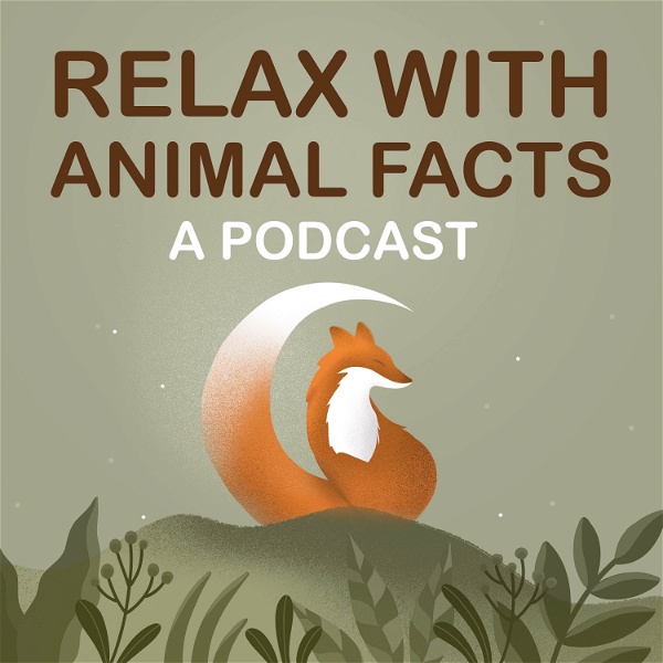 Artwork for Relax With Animal Facts