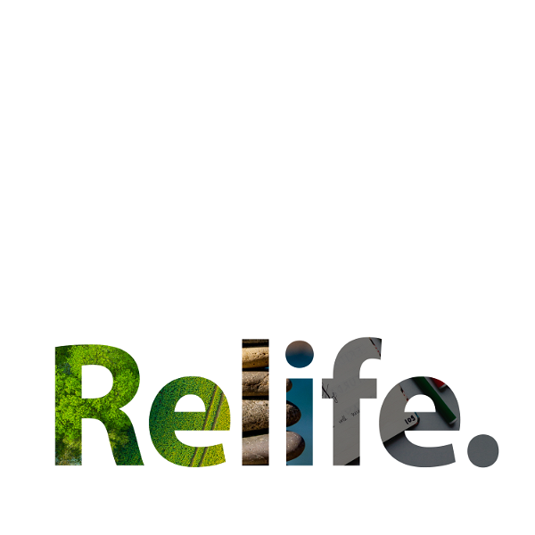 Artwork for Relife : amélioration du quotidien et développement personnel