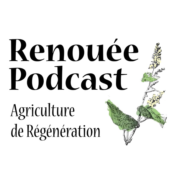 Artwork for Renouée