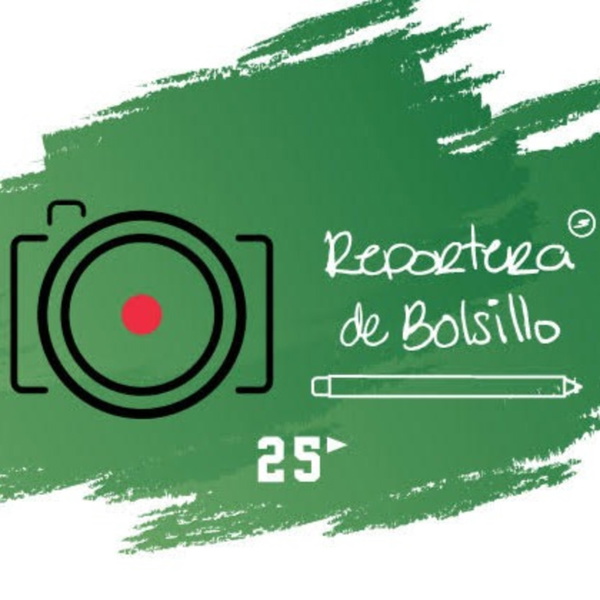 Artwork for Reportera de Bolsillo