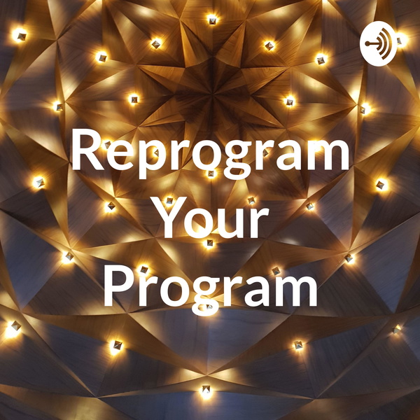 Artwork for Reprogram Your Program