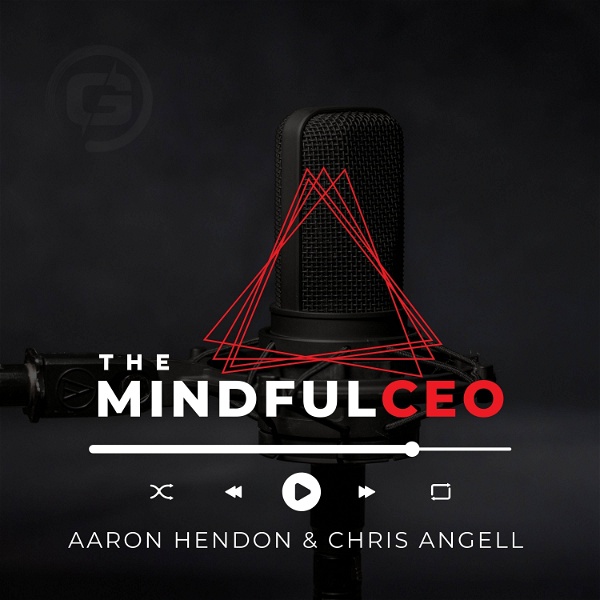 Artwork for The Mindful CEO