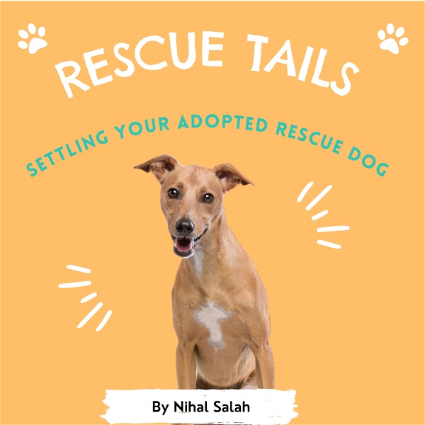 Artwork for Rescue Tails