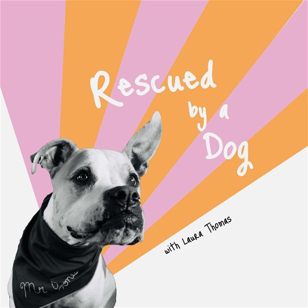 Artwork for Rescued by a Dog