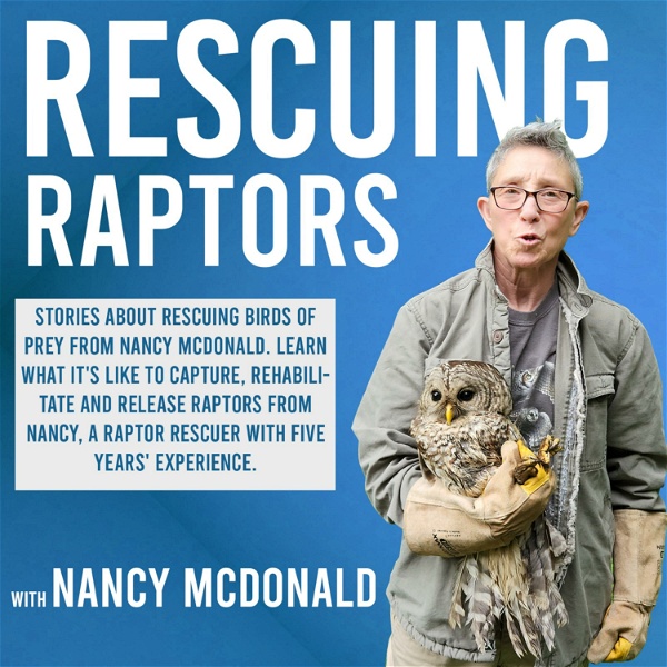 Artwork for Rescuing Raptors: Stories About Birds of Prey Rescues