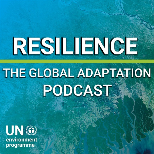 Artwork for Resilience: The Global Adaptation Podcast