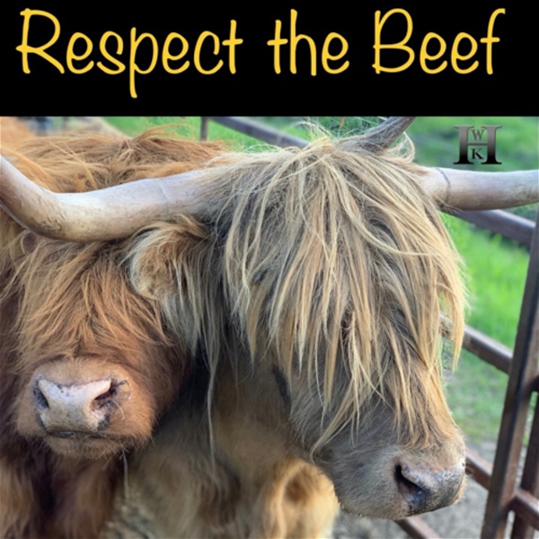 Artwork for Respect the Beef