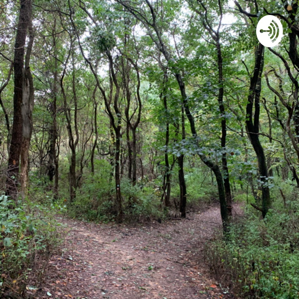 Artwork for RESTORED-RENEWED-REBOOTED by Katrina Rodesiler