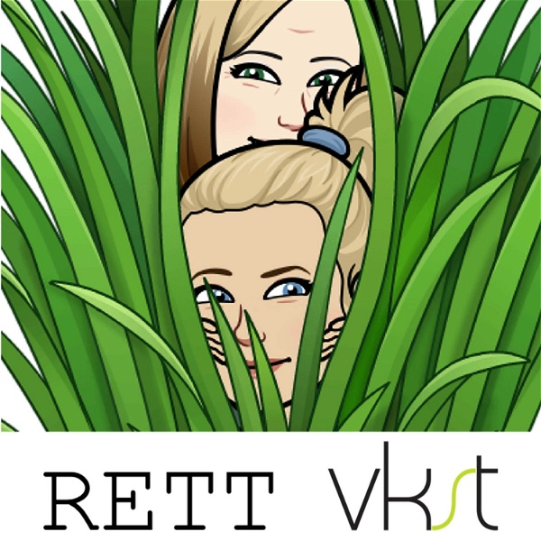 Artwork for Rett VKST