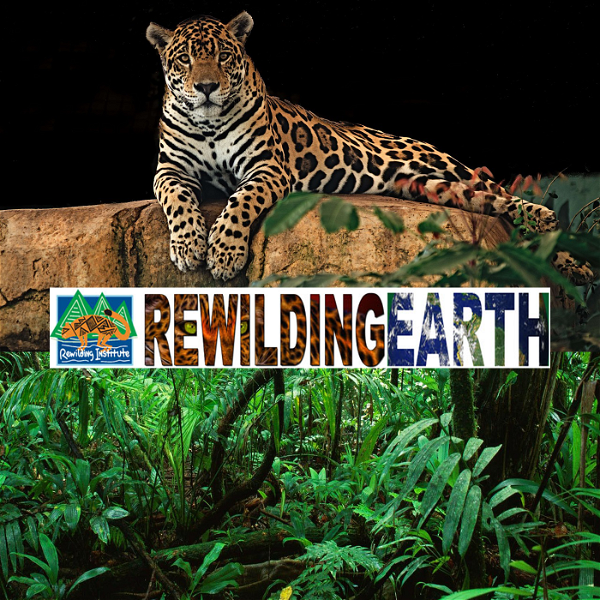 Artwork for Rewilding Earth Podcast