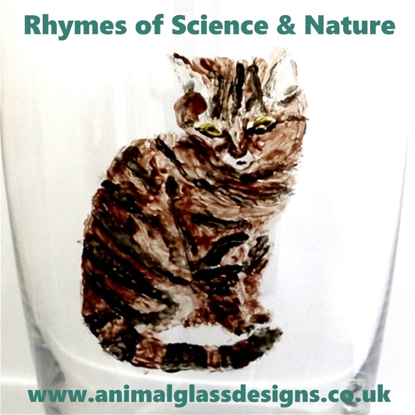 Artwork for Rhymes of Science and Nature