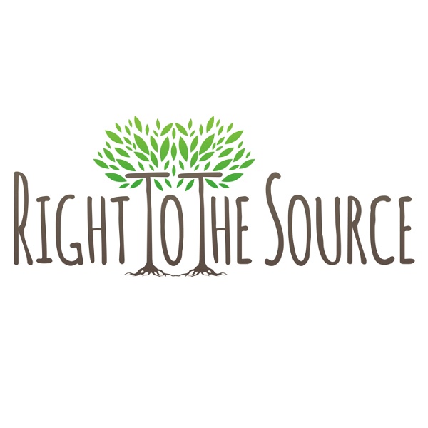 Artwork for Right To The Source