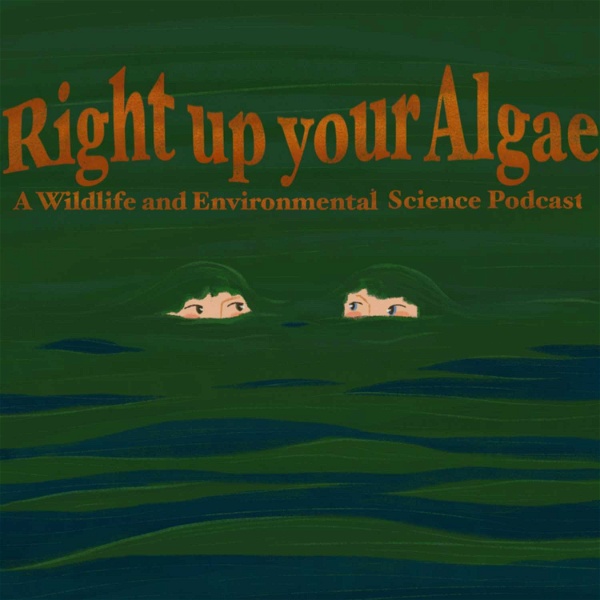 Artwork for Right Up Your Algae