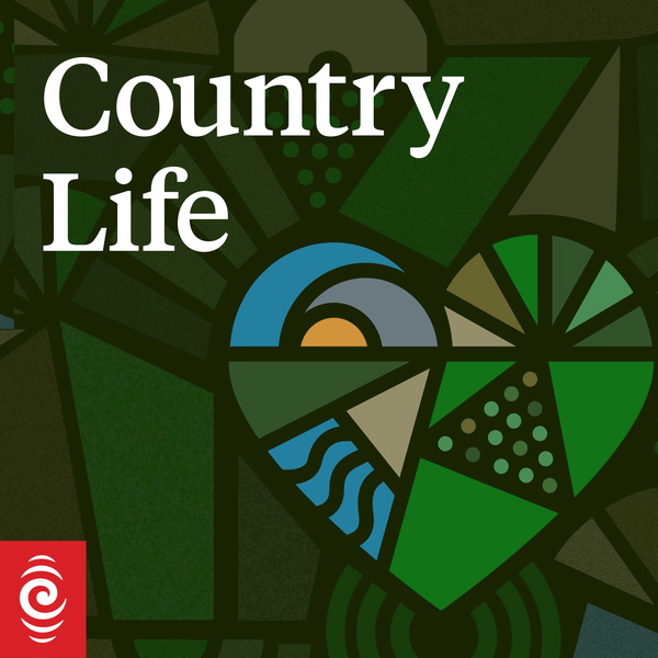 Artwork for Country Life