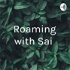 Roaming with Sai