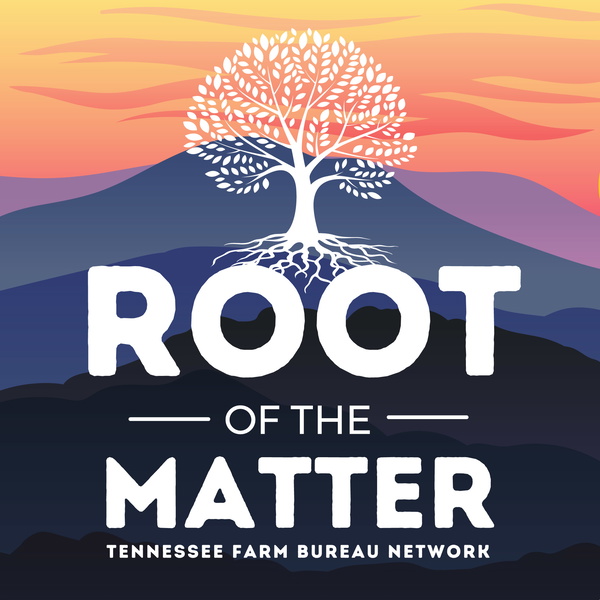 Artwork for Root of the Matter