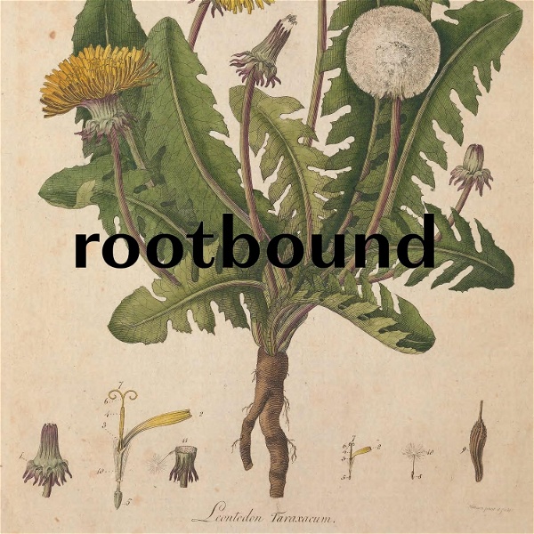 Artwork for rootbound