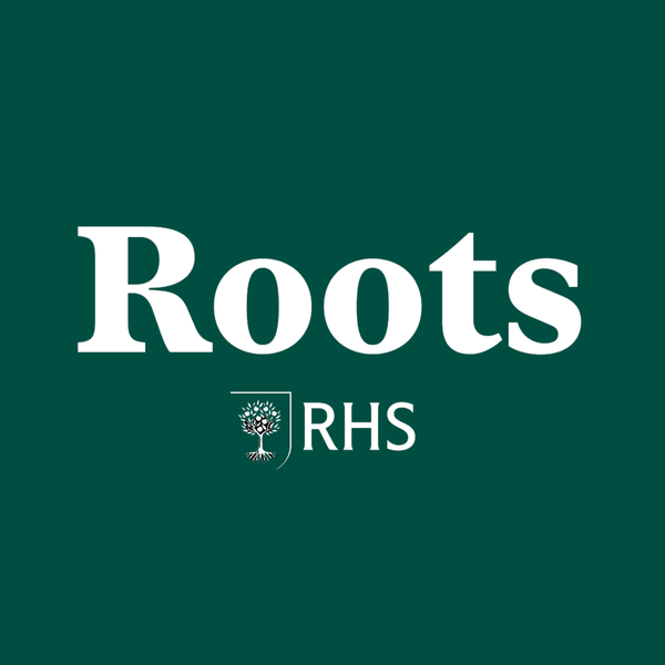 Artwork for Roots