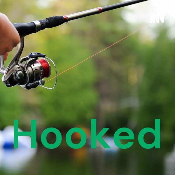 Artwork for Hooked