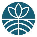 Artwork for Roots Church Sermon Podcast