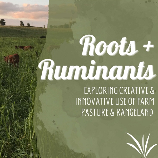 Artwork for Roots + Ruminants