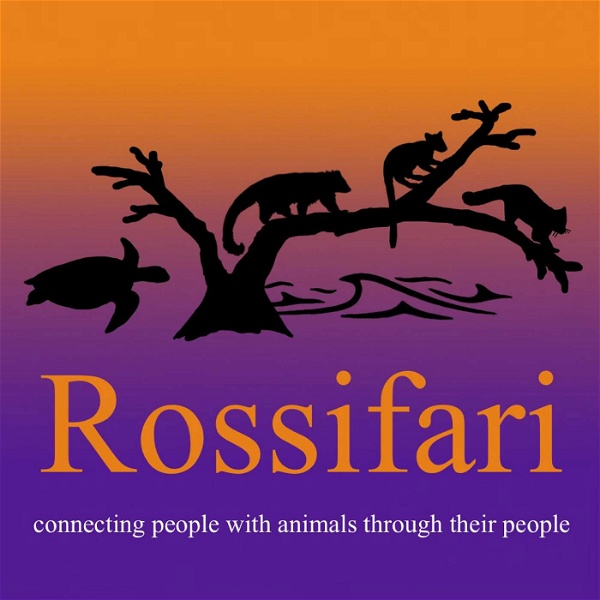 Artwork for Rossifari Podcast