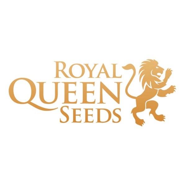 Artwork for Royal Queen Seeds