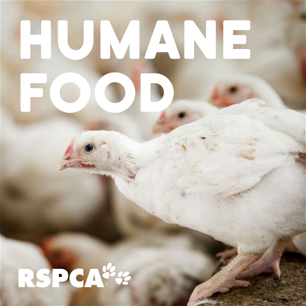 Artwork for RSPCA Australia's Humane Food Podcast