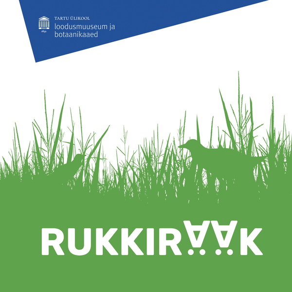 Artwork for Rukkirääk