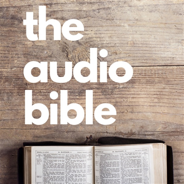 Artwork for The Audio Bible