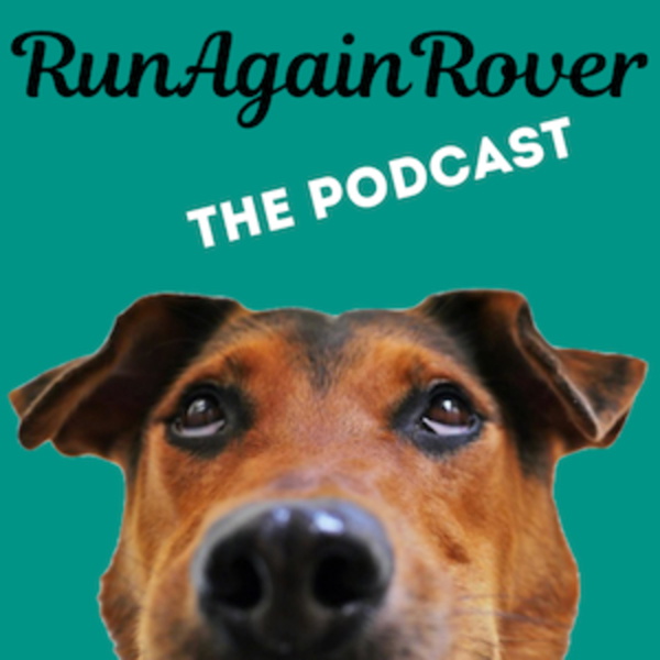 Artwork for RunAgainRover
