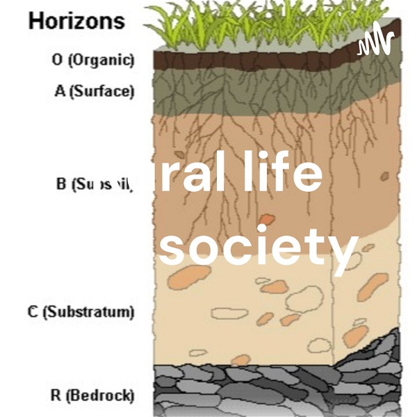 Artwork for Soil Profile