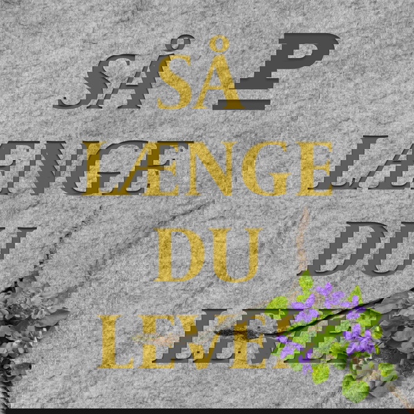 Artwork for Så længe du lever
