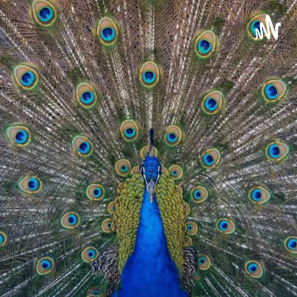 Artwork for Saber Animal