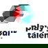 Sæt dit talent i spil