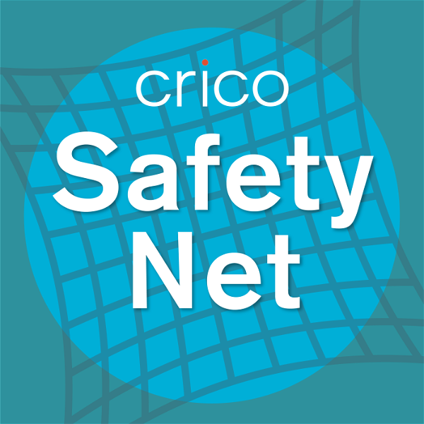 Artwork for Safety Net