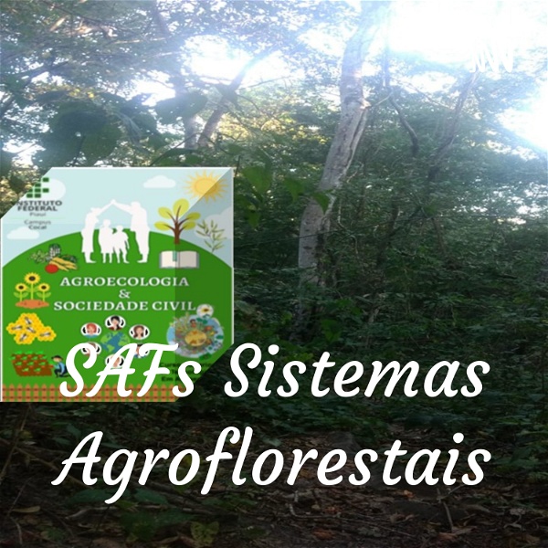 Artwork for SAFs Sistemas Agroflorestais